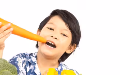 A Mother’s Handbook For Promoting Healthy Eating In Children