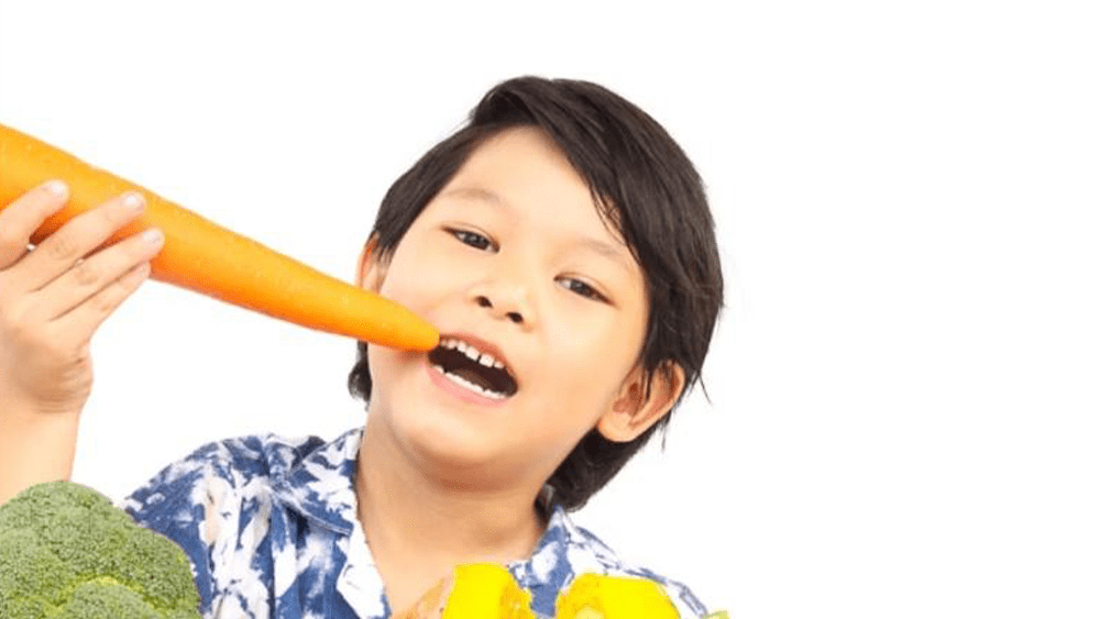 A Mother’s Handbook For Promoting Healthy Eating In Children